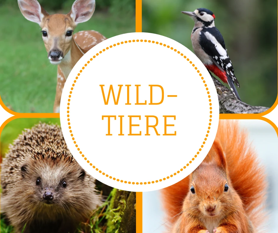 Heimische Wildtiere in unseren Gärten
