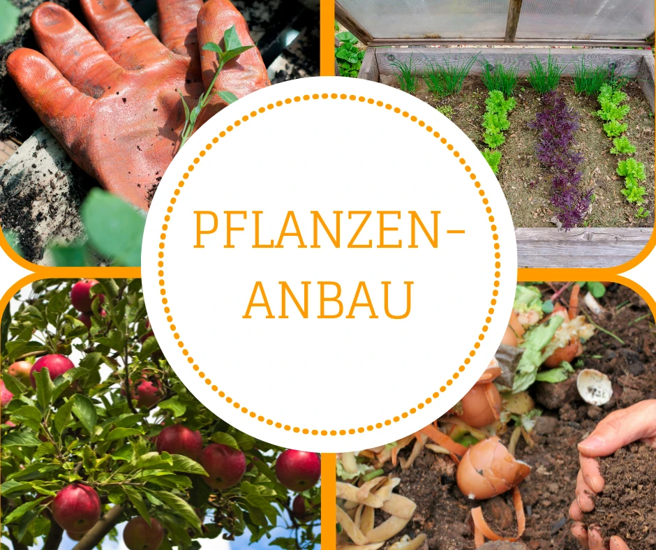 Pflanzenanbau für mehr Nachhaltigkeit